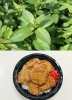 「6/20(土)は、『ペパーミントの日』です。﻿本日のおすすめmenuは✨ぶりかつ丼……¥680-(7枚入)です。漁協の食堂でお魚ランチいかがですか？(◍˃̶ᗜ˂̶◍)ﾉ"」