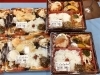 「西海物産館　売店にてお弁当を販売してます♪」