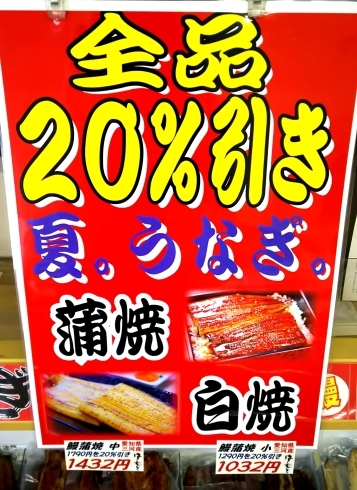 お中元にも国産鰻を贅沢に❗「解除宣言❗❗」