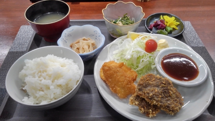 今日の日替わりランチ「今日の日替わりランチは鯨カツです‼️【京都市南区で地鶏を食べるなら！ 鳥夜ゆうこ】」