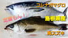 【定置もん】【コシナガマグロ、海スズキ】「○本日のお刺身【定置もん】【島根県産コシナガマグロ、海スズキ】」