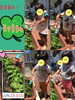 日日草のにっちゃん♡「おおきくなあれ☆〜PART2〜」