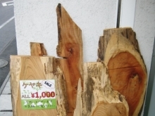 『材木セール』始めました！「ケヤキ」オール1,000円！！