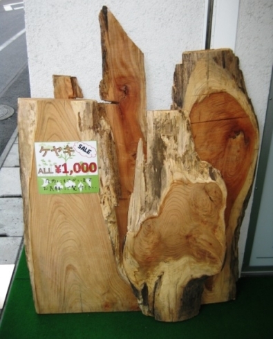 「『材木セール』始めました！「ケヤキ」オール1,000円！！」