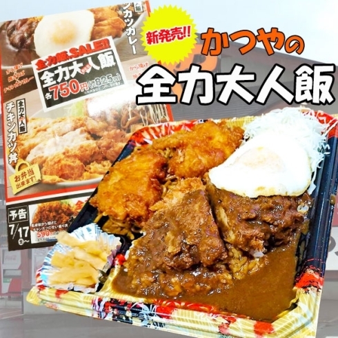 新発売 いい意味でジャンク かつや の 全力大人飯弁当 縁活みやざきのニュース まいぷれ 宮崎