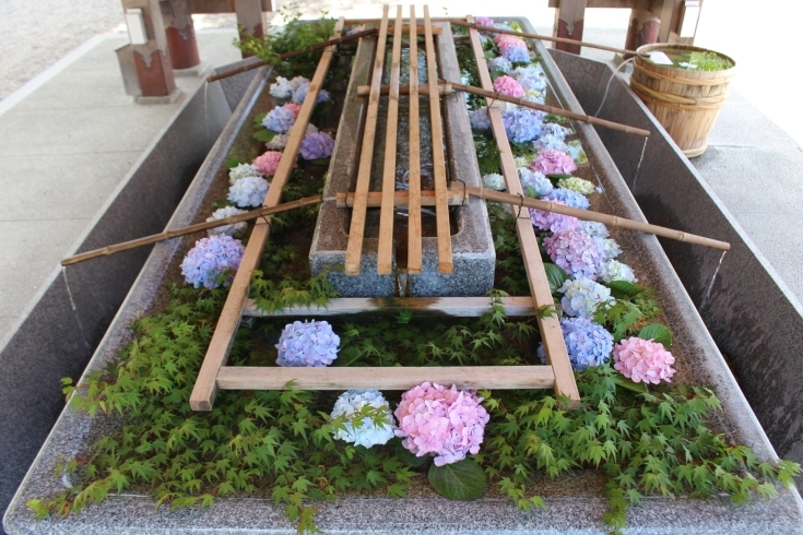 神社の“草花”で彩られた手水鉢『花手水』「〝花手水〟で心和ませ、清らかに。」