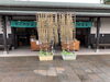 新調したのれんと苦瓜緑のカーテン「伎倍の茶屋さん」