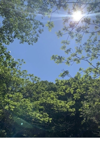 占いはわくわく楽しい 札幌占い 掌の未来地図 手相師 松山ひとみのニュース まいぷれ 札幌市中央区