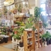 鉢入荷しました「【はなやホック皆生店】鉢入荷しました！」