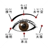 【2023年06月01日（木）】ご予約状況。追加予約やキャンセル等で異なる場合もございmます/