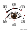 目の周囲のツボ「【2023年11月30日（木）】ご予約状況。追加予約やキャンセル等で異なる場合もございmます/」