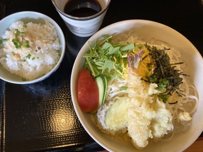 「7月2日(木) 一魚一会のおすすめランチは「冷やしうどん定食」です♪」