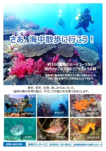 「癒しの海中写真展　～さあ、海中散歩に行こう！～」