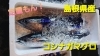 【定置もん】島根県産 コシナガマグロ「○本日のお刺身【定置もん】【島根県産コシナガマグロ、白イカ】」