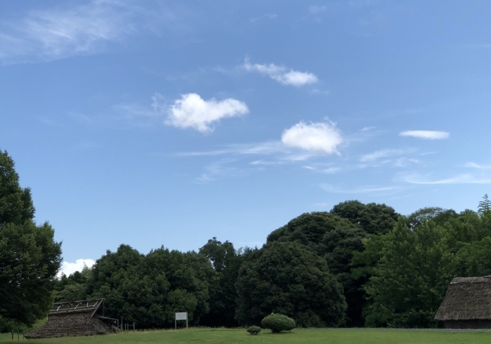 風土記の丘　　まったり出来る風景「７月8日 の　営業について」