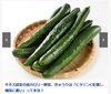 「【センター北のうんち薬局 漢方ハタ薬局】〜 きゅうりはギネス認定？！低カロリー食材 〜 下痢 ・便秘・腰痛・膝痛・ 神経痛・自律神経・睡眠・後鼻漏 漢方相談 横浜市都筑区」