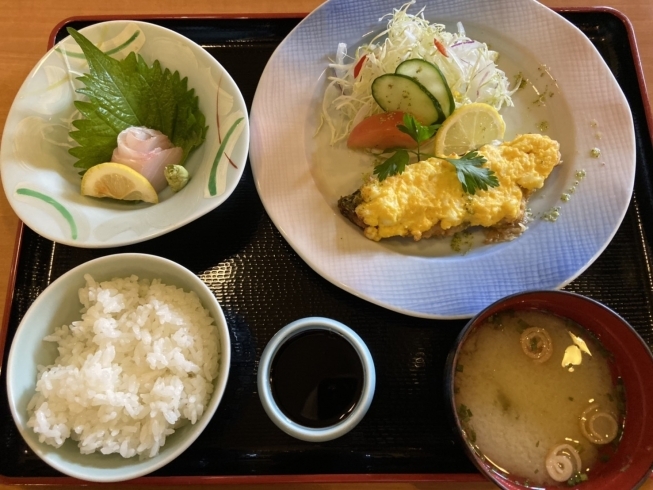 「7月9日(木) 一魚一会のおすすめランチは「シイラのタマゴサラダ焼き刺身付き」です♪」