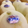 秋田県三種町八竜地域産「サンキューメロン」