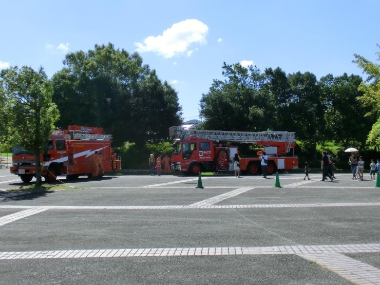 消防車・救急車の展示コーナー<br>はしご車体験搭乗もできて子供たちに大人気でした。