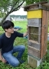 「「週末養蜂」楽しんで」