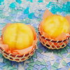 「夏のケーキ登場！」