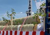「20年に1度の御神木祭　奉送行事【木曽郡　上松町　伊勢神宮】」