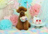 Happybirthday　ロイくん「Anniversaryphoto　(*^-^*)」