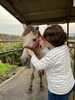 「七飯町で楽しむ乗馬と動物ふれあい｜リピーター様向けプログラム「人馬一体」で馬との信頼関係を深める時間【馬のいる寺子屋】」