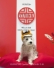 フォトブース「新年のフォトブース解放中！犬猫のおやつsizuka」