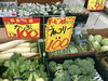 「本日特売日」