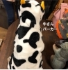 後ろ姿が可愛い。「初めてのサロン体験♡」