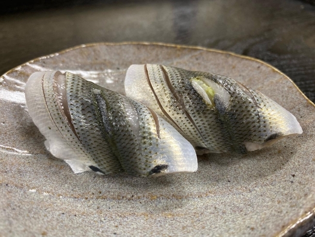 コハダの赤ちゃん 鴻巣市寿司屋 寿し屋のいしい 寿し屋のいしいのニュース こうのす広場 鴻巣市 コハダの赤ちゃん 鴻巣市寿司屋 寿し屋のいしい 寿し屋のいしいのニュース こうのす広場 鴻巣市