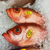 「魚魚市場鮮魚コーナーおすすめは「ハガツオ・ホーボー」です♪」