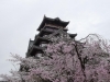 伏見桃山城さん（旧伏見桃山城キャッスルランド/伏見のシンボル