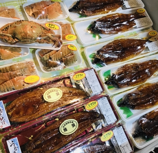 「西海物産館　魚魚市場鮮魚コーナーのおすすめ商品は「大鯛＊うなぎ＊あらかぶの開き」です♪」