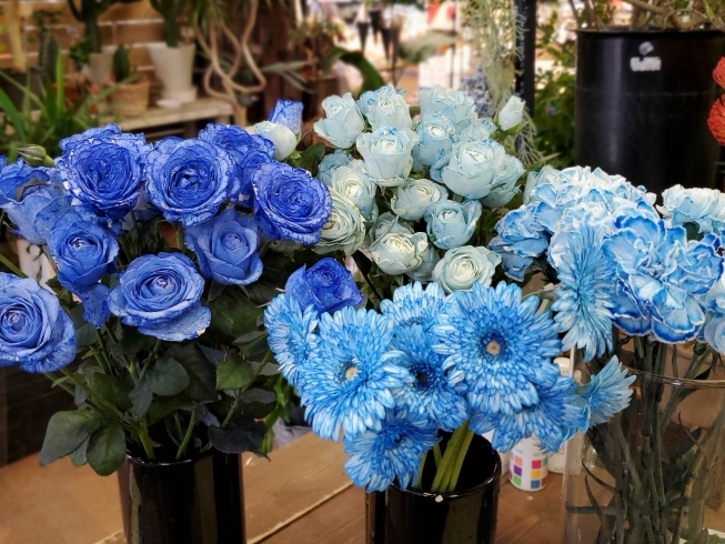 ブルーな花々「【はなやHOK皆生店】Blue Flowers！」