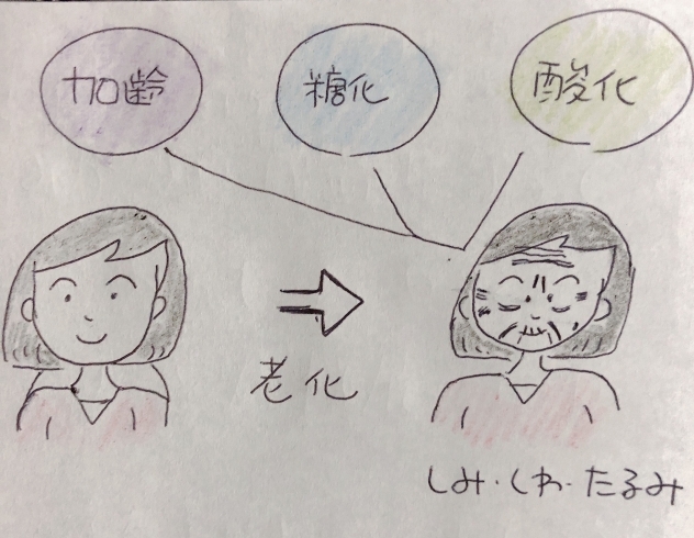 打倒！老化肌「忍び寄る老け顔・・どんだけ〜　でも大丈夫！背負い投げ〜」