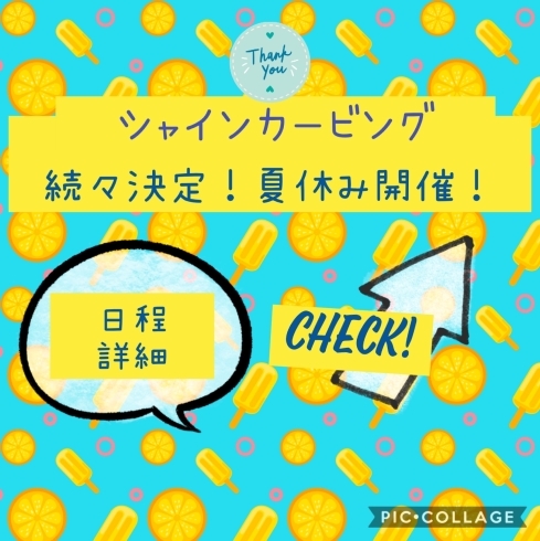 「今年の夏は早目に体験して、後はおうちで楽しむのが賢いよ❗️」