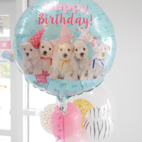 犬好きの子供への誕生日プレゼントはアニマルバルーン「犬好きさんへの誕生日プレゼントに子犬バルーンとアニマル柄風船のセットがおしゃれ 出雲市姫原 バルーン おむつケーキ チコリコ」