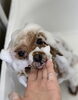 泡泡パック中〜　アンちゃん「泡泡パック中〜　アンちゃん　^ - ^」