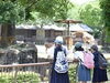 「第9回とべ動物園写真コンクールの作品を募集します！」