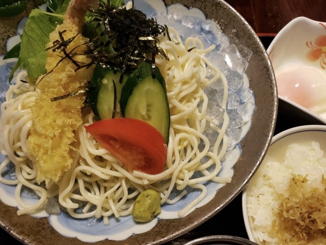 「7月31日(金) 一魚一会のおすすめランチは「冷やしうどん ジャコ飯付き」です♪」