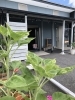 もうすぐ咲くかなぁ〜「揖斐　池田町　ALLROUND 8月のお休み」