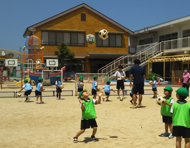 済美幼稚園 サッカーの授業 Jリーガーも夢じゃない 見学会のご案内 済美幼稚園のニュース まいぷれ 松山 伊予 東温 松前 砥部