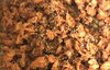 元気になる鮭丼「元気になる 鮭丼「米津町で腸活ランチが食べられる古民家カフェ」