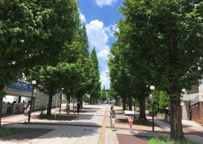 「ようやく夏の太陽が！」