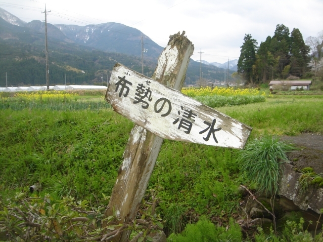 「今日の運勢 ８月３日月曜日　☆運気予報★」