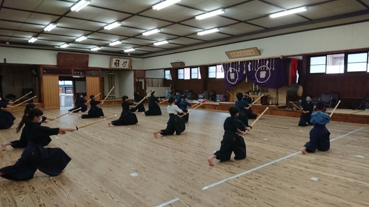 一斉に大きく踏み込むときの、床の響きが素晴らしい「リズム ☆ 剣　道　～　剣道少年部」