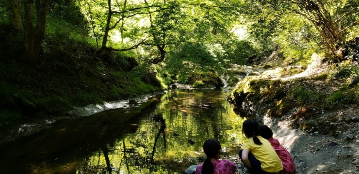 まだ間に合う！小学生の夏休み満喫計画！「まだ間に合います！松山市にある民間学童保育 キッズ ホーム ヒマワリの夏休み企画」