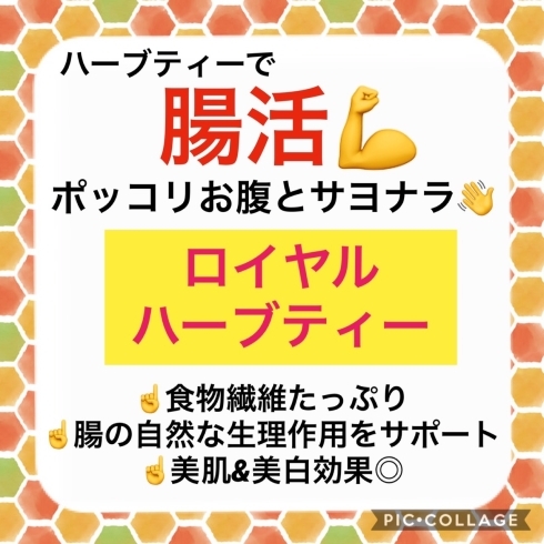 「ハーブティーで腸活！毎日飲んで美をサポート♪」